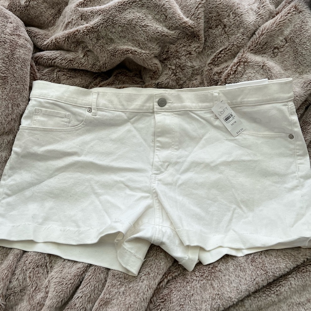 NWT white loft shorts size 34/18